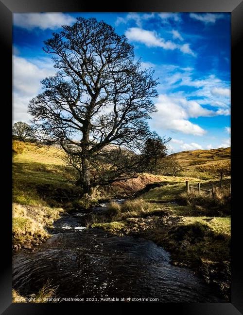 The Stream  Framed Print by Graham Mathieson