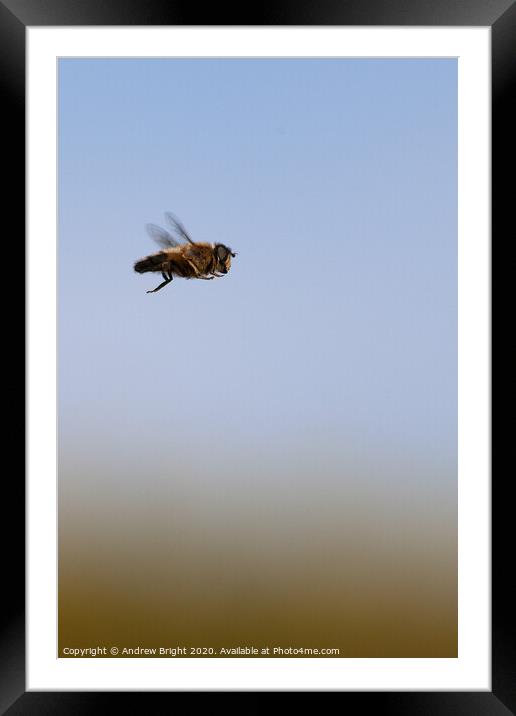 Flyby Framed Mounted Print by Andrew Bright