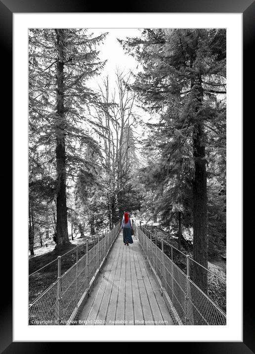 Girl on the Bridge Framed Mounted Print by Andrew Bright