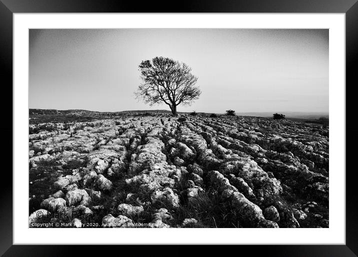 The Lone Tree  Framed Mounted Print by Mark Parry
