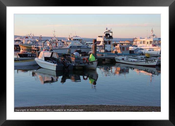 Harbour life Framed Mounted Print by PAUL MURPHY