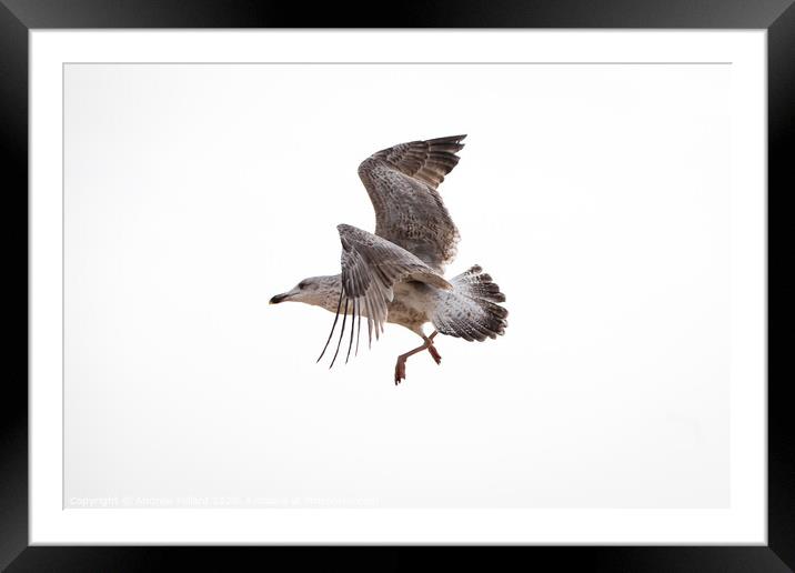 Take Off Framed Mounted Print by Andrew Millard