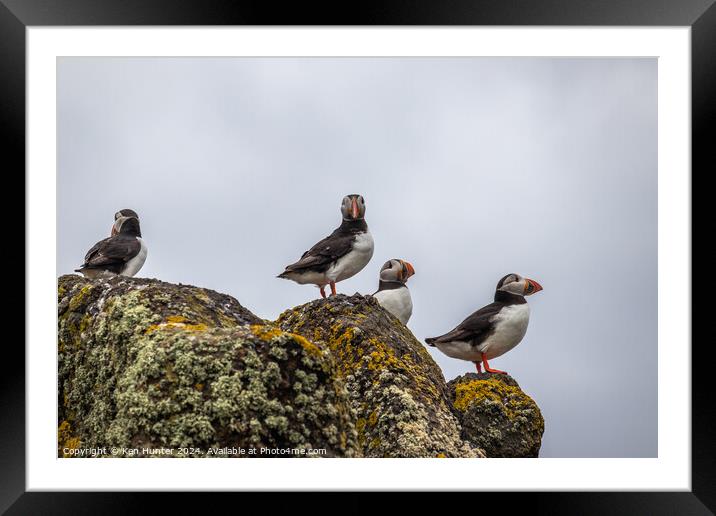 Puffins on Sentry Framed Mounted Print by Ken Hunter