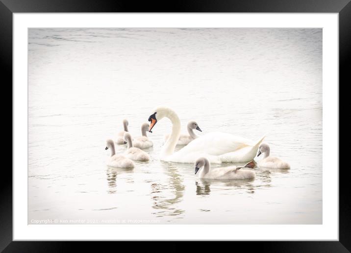 Mute Swan with Young In High-key Image Framed Mounted Print by Ken Hunter