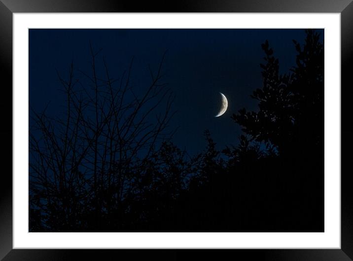 The Waxing Crescent Framed Mounted Print by Paddy Art