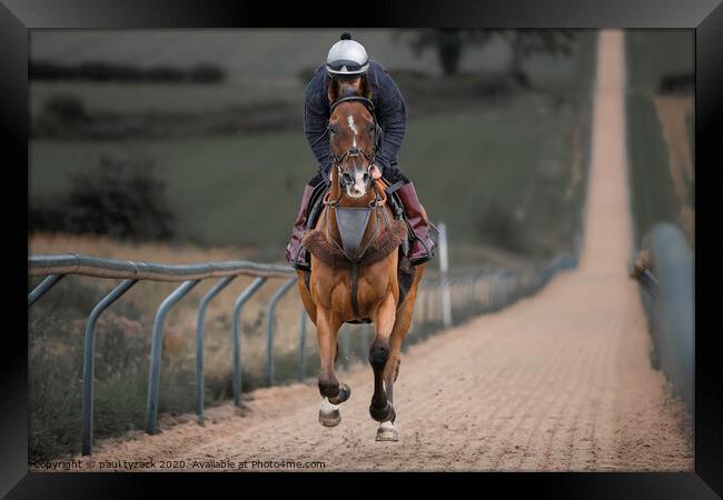 Horse at full speed up a 6 furlong all-weather hil Framed Print by Paul Tyzack