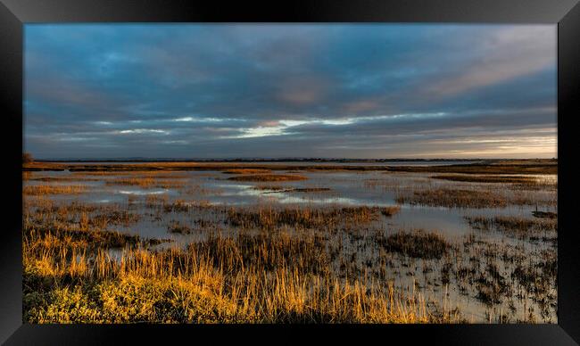 Pagham Harbour Framed Print by Paul Tyzack