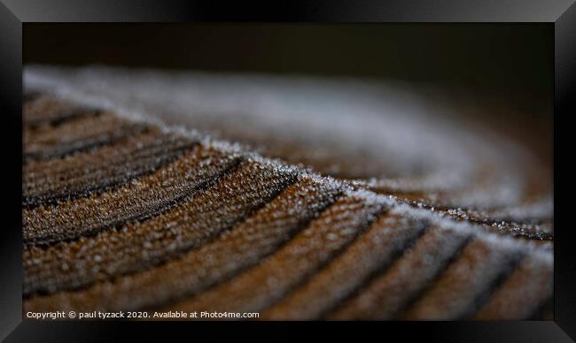 Frosted post Framed Print by Paul Tyzack