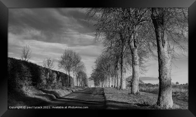 Tree lined Avenue Framed Print by Paul Tyzack