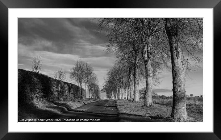 Tree lined Avenue Framed Mounted Print by Paul Tyzack