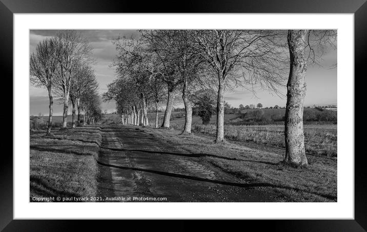 Tree lined avenue Framed Mounted Print by Paul Tyzack
