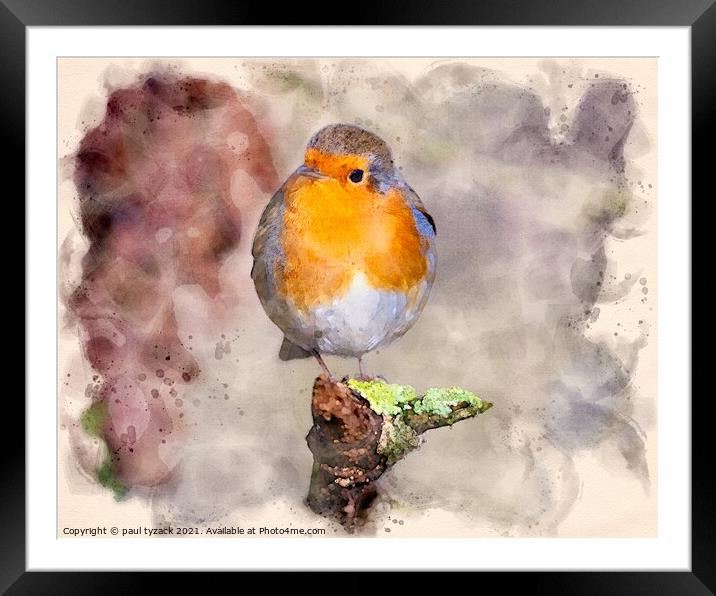 Robin Framed Mounted Print by Paul Tyzack