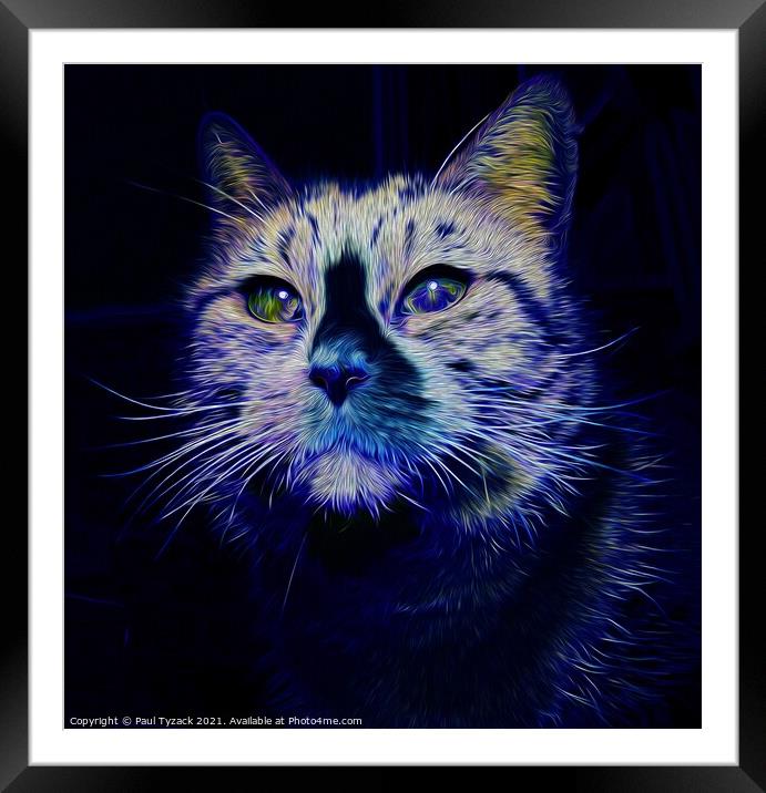The blue cat Framed Mounted Print by Paul Tyzack