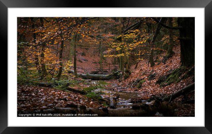 Forest valley Framed Mounted Print by Phill Ratcliffe
