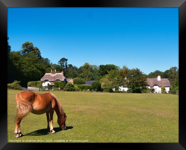 Swan Green, New Forest National Park Framed Print by Stephen Munn