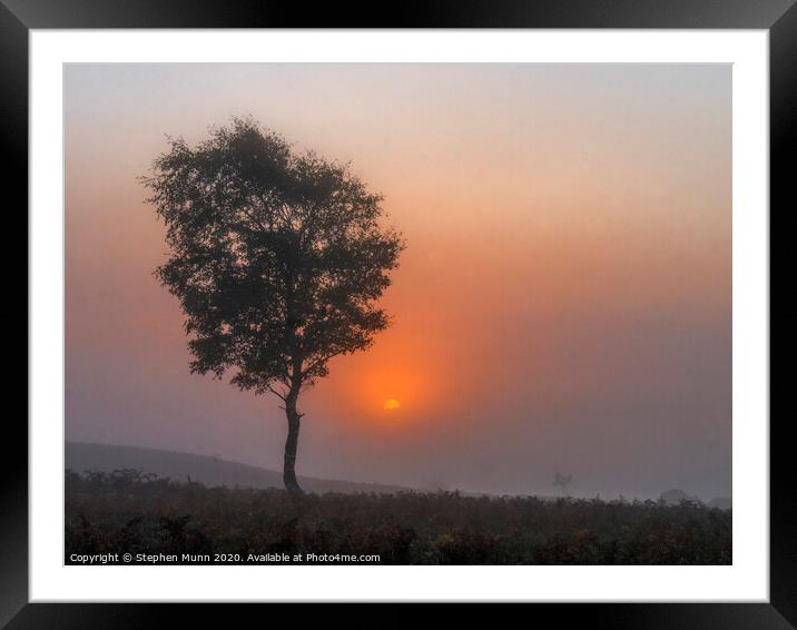Ibsley Common Foggy Sunrise, New Forest National Park Framed Mounted Print by Stephen Munn
