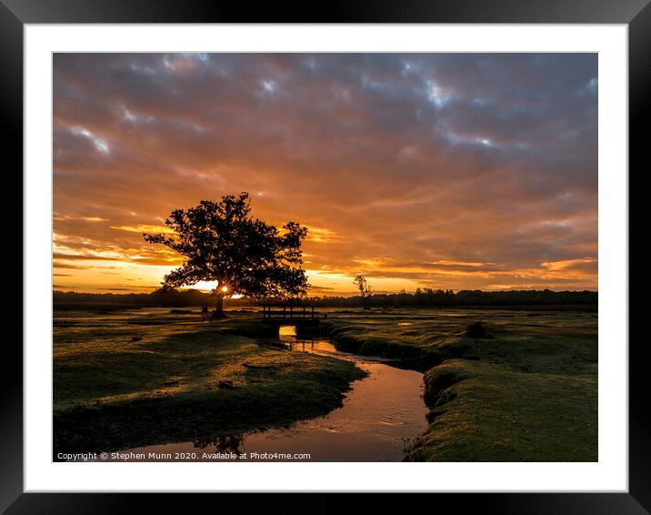 Early morning sunrise runner, New Forest National Park  Framed Mounted Print by Stephen Munn