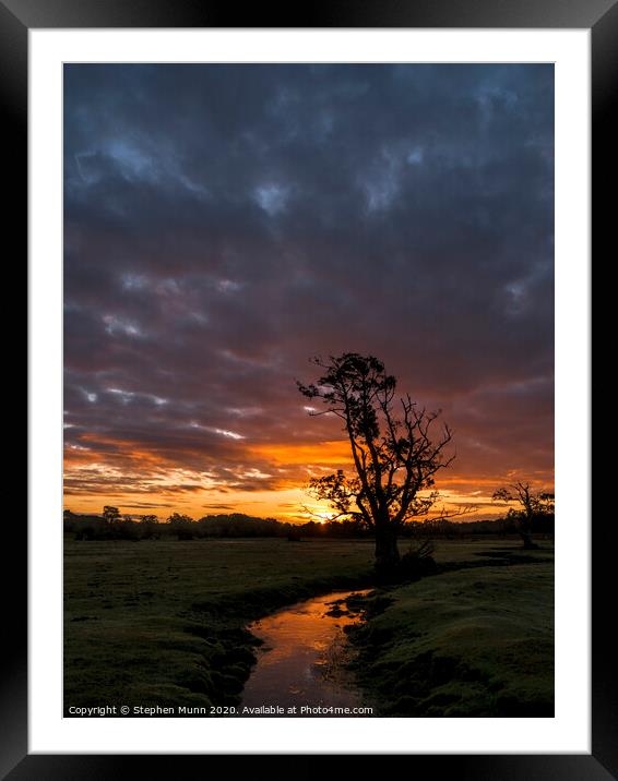 New Forest Stream Dawn Framed Mounted Print by Stephen Munn