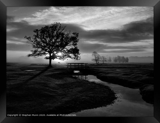 Sunrise, Longwater Lawn, New Forest National Park in black and white Framed Print by Stephen Munn