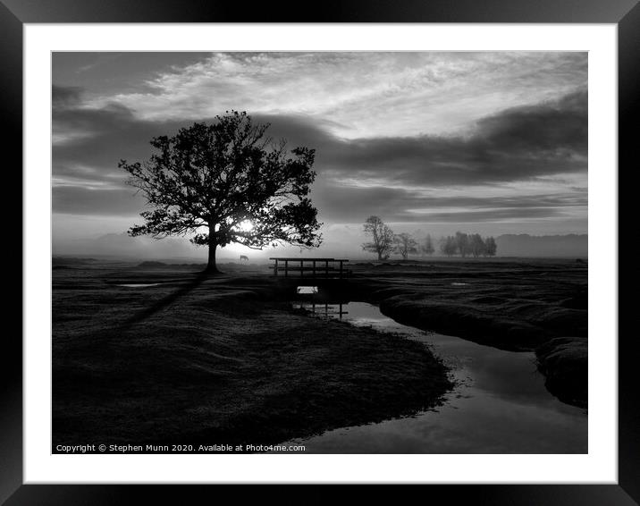 Sunrise, Longwater Lawn, New Forest National Park in black and white Framed Mounted Print by Stephen Munn