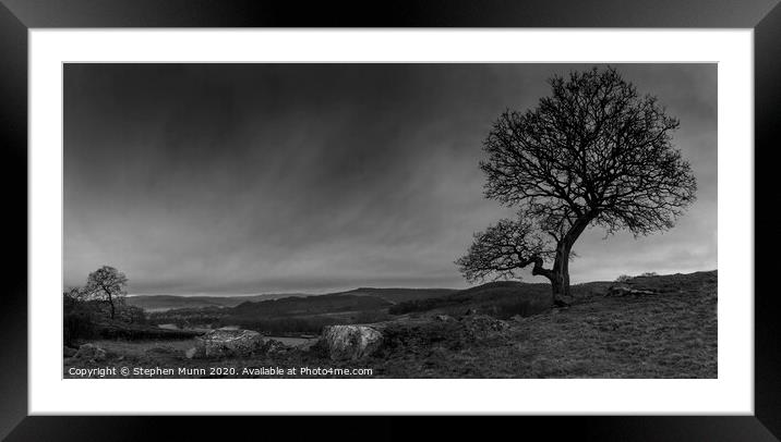 Tree on a hillside, Peak District Framed Mounted Print by Stephen Munn