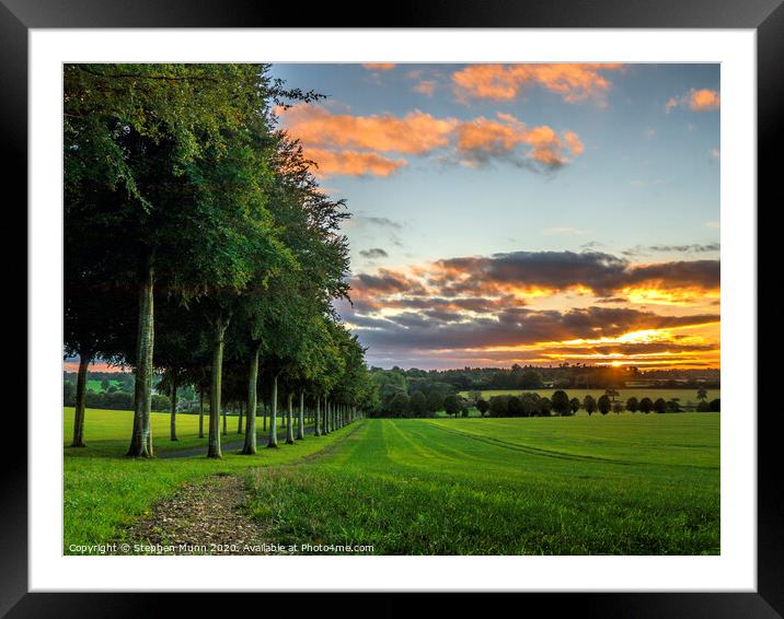 Moor Crichel tree avenue at sunset, Cranborne Chase, Dorset Framed Mounted Print by Stephen Munn