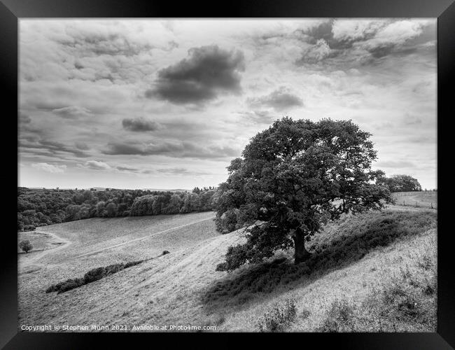 Somerset Valley Tree in black and white Framed Print by Stephen Munn