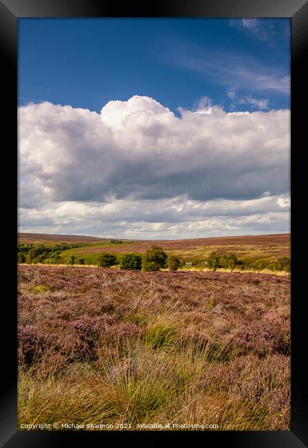 The heather moorland of the North Yorkshire Moors Framed Print by Michael Shannon