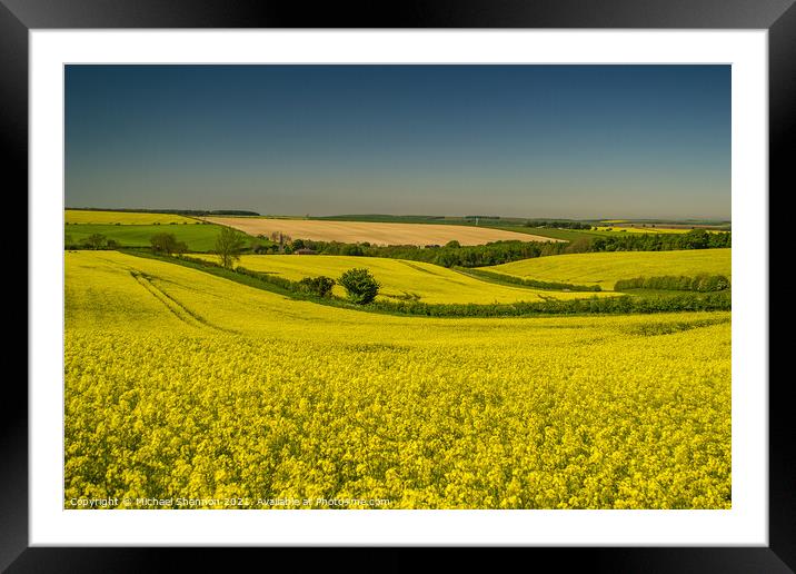 Yorkshire Wolds, Kirby Grindalythe Framed Mounted Print by Michael Shannon