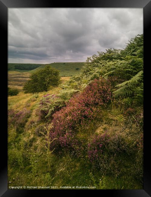 Bracken and Heather, Hole of Horcum Framed Print by Michael Shannon