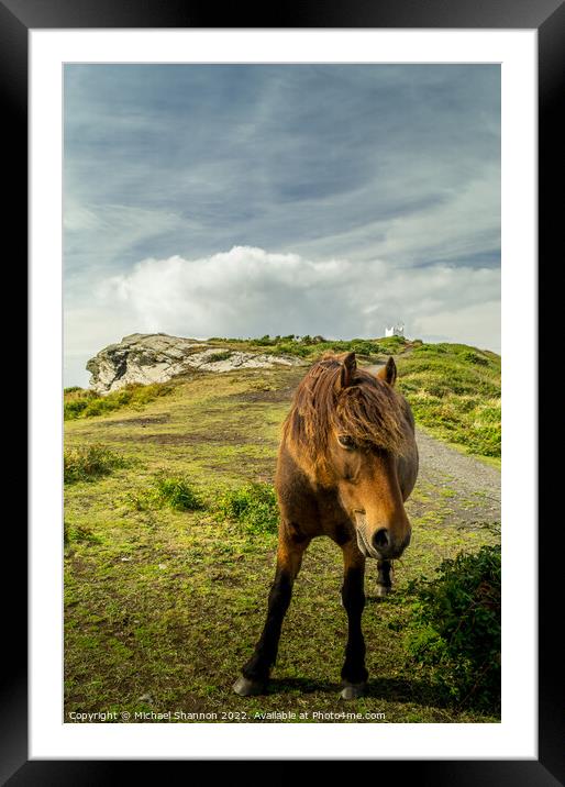 A brown horse / pony standing on top of the cliffs Framed Mounted Print by Michael Shannon