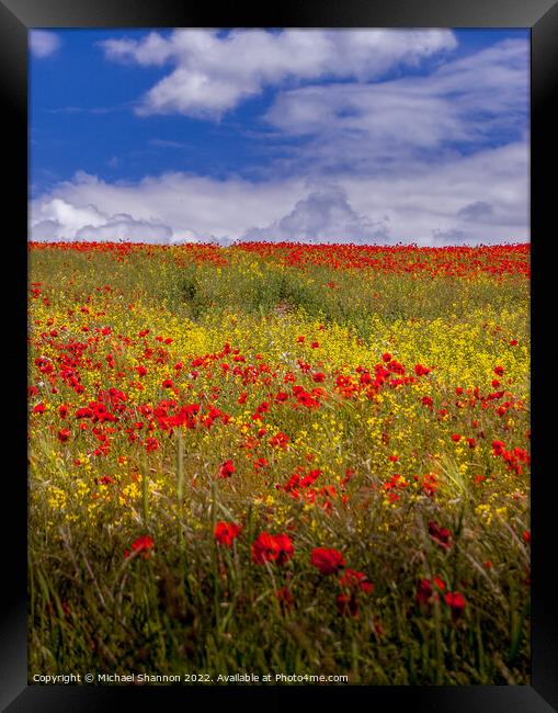 Poppy Field, Summer, Yorkshire Wolds Framed Print by Michael Shannon