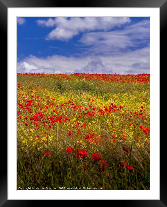Poppy Field, Summer, Yorkshire Wolds Framed Mounted Print by Michael Shannon