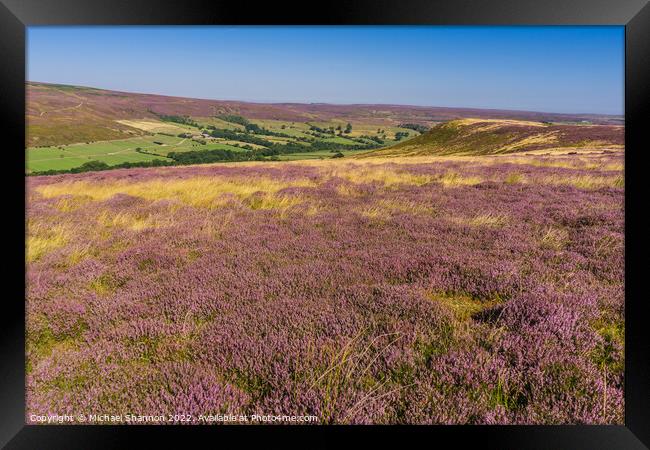 Purple Heather Moorland in Westerdale, North Yorks Framed Print by Michael Shannon