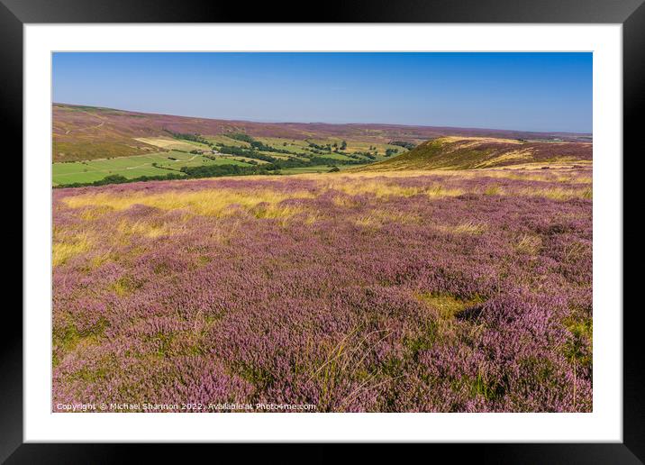 Purple Heather Moorland in Westerdale, North Yorks Framed Mounted Print by Michael Shannon