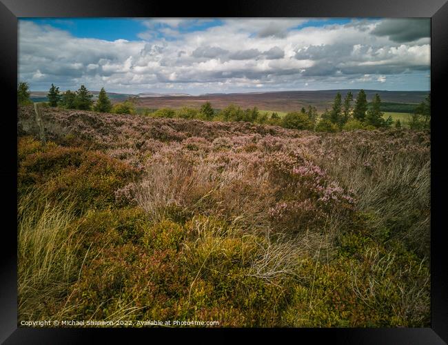 North Yorkshire Moors near Cowhouse Bank Framed Print by Michael Shannon