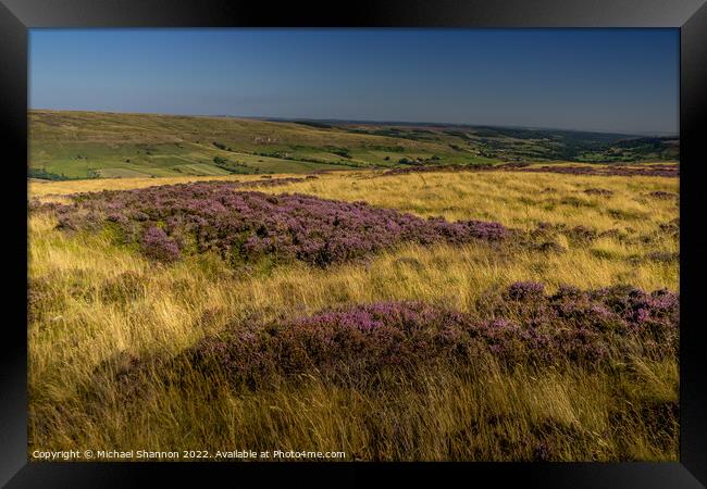 Patches of flowering heather in Rosedale, North Yo Framed Print by Michael Shannon