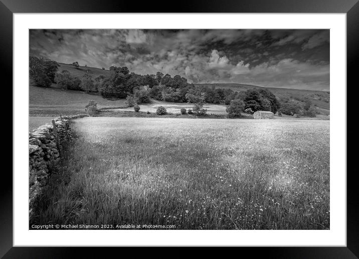 Swaledale, Wild Flower Meadow Framed Mounted Print by Michael Shannon
