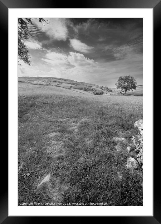 Swaledale scenery, Yorkshire Dales National Park Framed Mounted Print by Michael Shannon