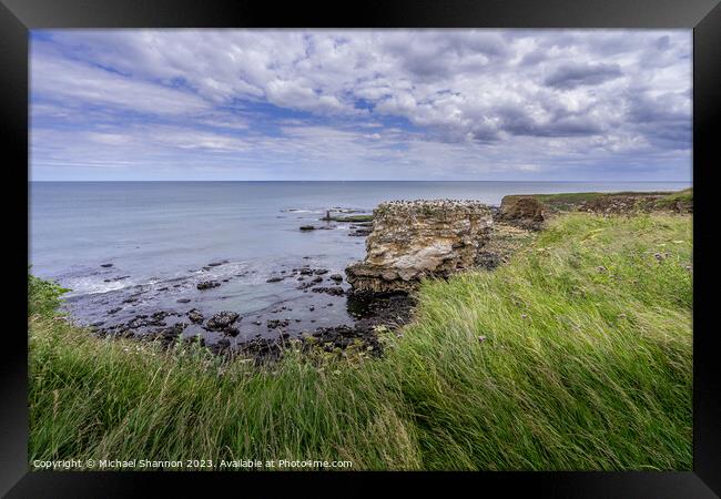 Enchanting Clifftop Scenery at Jack Rock Framed Print by Michael Shannon