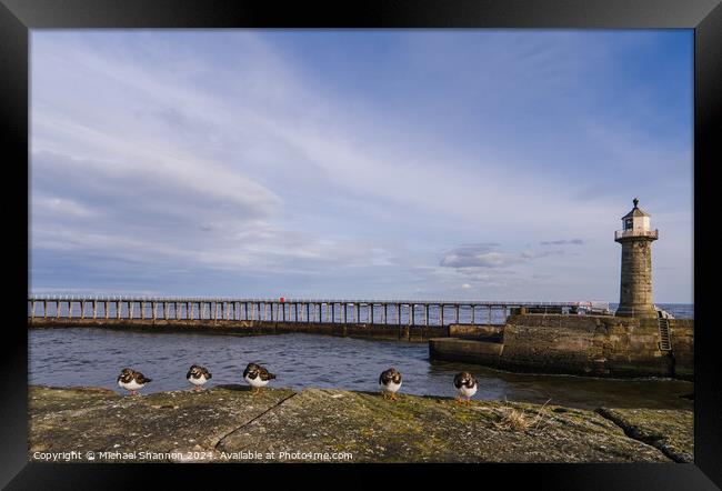 East Pier, Whitby Framed Print by Michael Shannon