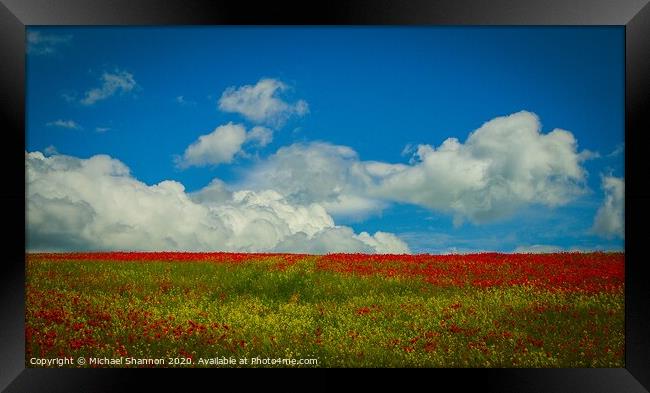 A Sea of Red Poppies Framed Print by Michael Shannon