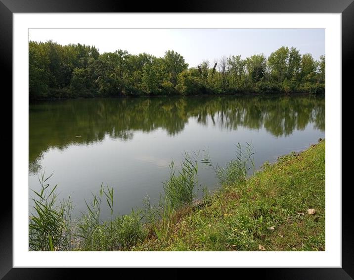 Outdoor waterside Framed Mounted Print by Barbara Rea