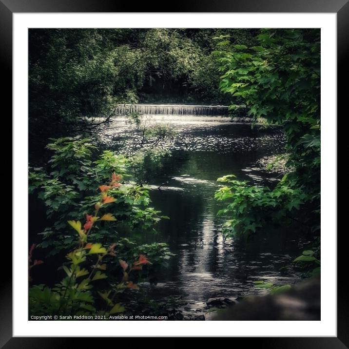 River Tame through the trees Framed Mounted Print by Sarah Paddison