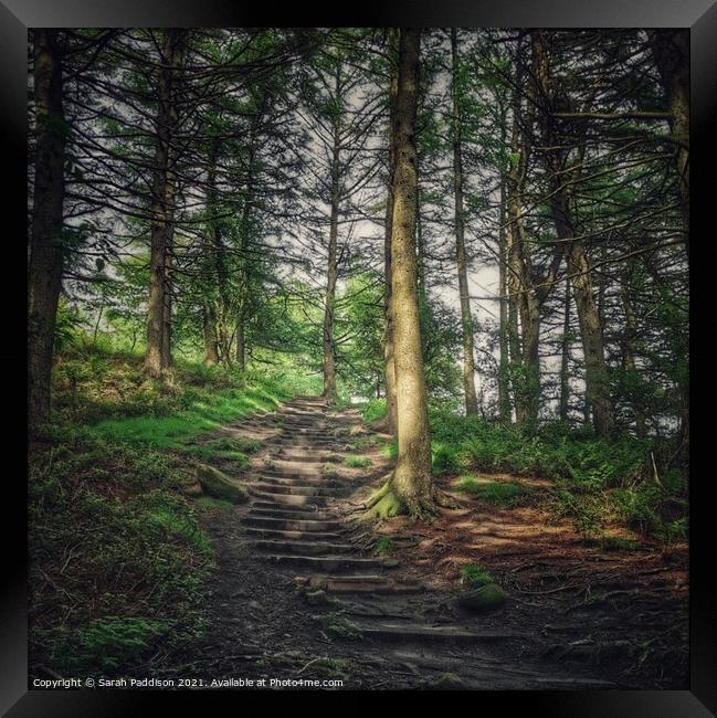 Path through woodland Framed Print by Sarah Paddison