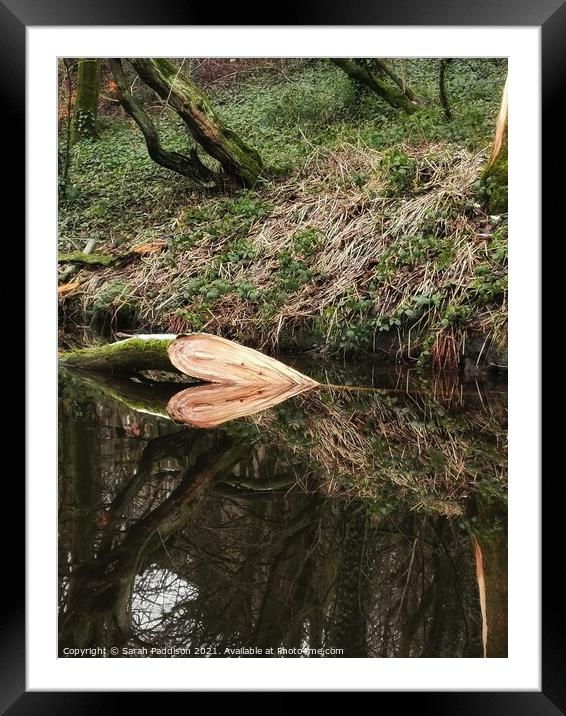 A Heart Refection of a tree Framed Mounted Print by Sarah Paddison