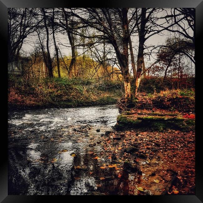 Autumn River with reflecting shadows Framed Print by Sarah Paddison