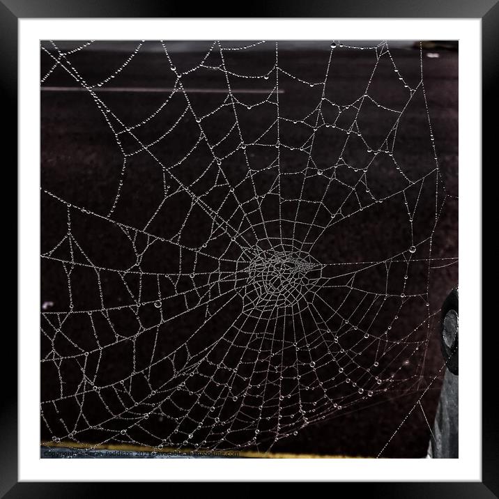 Dewy spider web Framed Mounted Print by Sarah Paddison