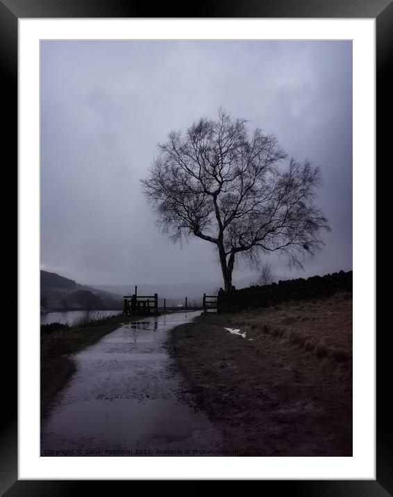 Solitary tree and fence at Dovestones Framed Mounted Print by Sarah Paddison