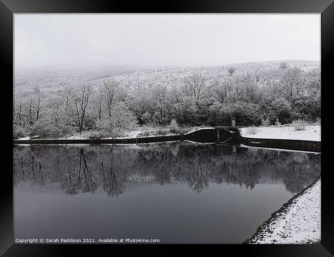 Reflecting Winter at Walkerwood Framed Print by Sarah Paddison